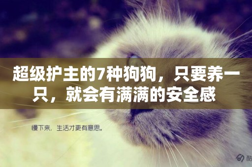 超級護主的7種狗狗，只要養一只，就會有滿滿的安全感 