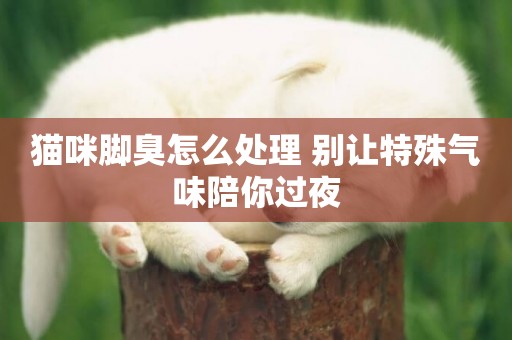 貓咪腳臭怎么處理 別讓特殊氣味陪你過夜