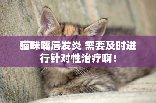貓咪嘴唇發炎 需要及時進行針對性治療啊！
