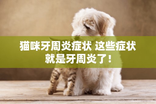 貓咪牙周炎癥狀 這些癥狀就是牙周炎了! 貓咪牙周炎癥狀 這些癥狀就是牙周炎了!