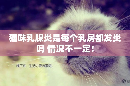 貓咪乳腺炎是每個乳房都發炎嗎 情況不一定！