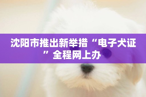 沈陽市推出新舉措“電子犬證”全程網上辦 