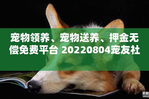 寵物領養、寵物送養、押金無償免費平臺?20220804寵友社 