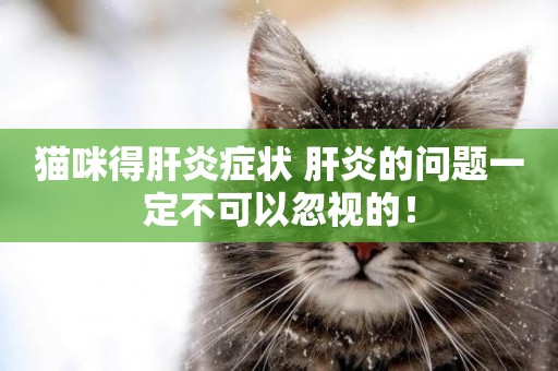 貓咪得肝炎癥狀 肝炎的問題一定不可以忽視的！