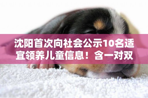 沈陽首次向社會公示10名適宜領養兒童信息！含一對雙胞胎 