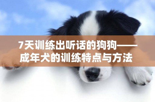 7天訓練出聽話的狗狗——成年犬的訓練特點與方法 