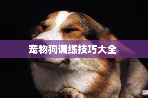 寵物狗訓練技巧大全 