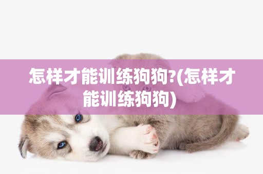 怎樣才能訓練狗狗?(怎樣才能訓練狗狗) 