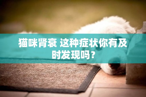 貓咪腎衰 這種癥狀你有及時發現嗎？