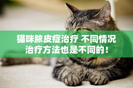 貓咪膿皮癥治療 不同情況治療方法也是不同的！