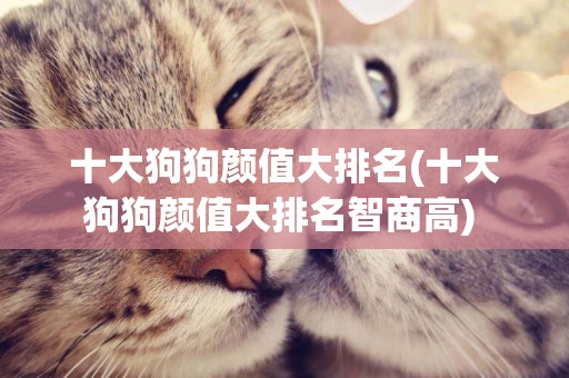 十大狗狗顏值大排名(十大狗狗顏值大排名智商高) 