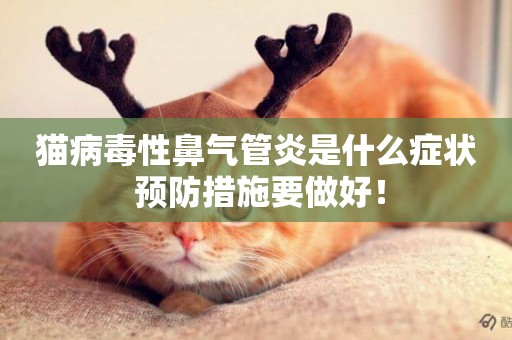 貓病毒性鼻氣管炎是什么癥狀 預防措施要做好！