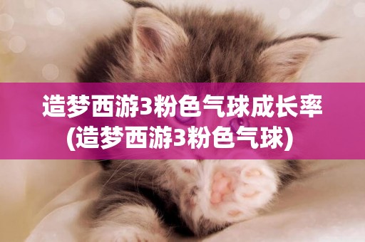 造夢西游3粉色氣球成長率(造夢西游3粉色氣球) 