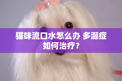 貓咪流口水怎么辦 多涎癥如何治療？