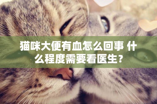 貓咪大便有血怎么回事 什么程度需要看醫生？