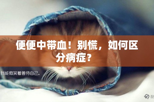 便便中帶血！別慌，如何區分病癥？ 