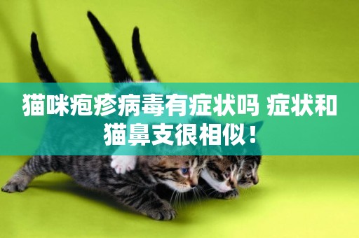 貓咪皰疹病毒有癥狀嗎 癥狀和貓鼻支很相似！