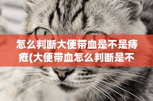 怎么判斷大便帶血是不是痔瘡(大便帶血怎么判斷是不是痔瘡) 