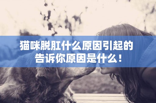 貓咪脫肛什么原因引起的 告訴你原因是什么！