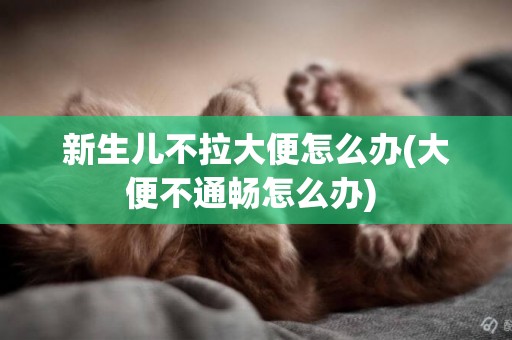 新生兒不拉大便怎么辦(大便不通暢怎么辦) 