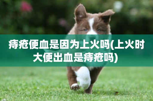 痔瘡便血是因為上火嗎(上火時大便出血是痔瘡嗎) 