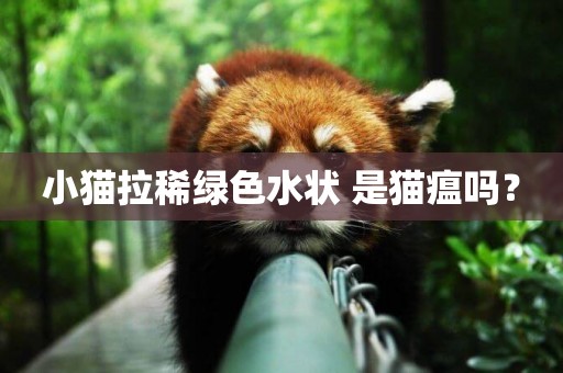 小貓拉稀綠色水狀 是貓瘟嗎？