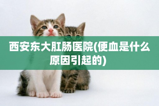 西安東大肛腸醫院(便血是什么原因引起的) 