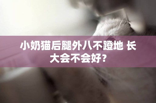 小奶貓后腿外八不蹬地 長大會不會好？