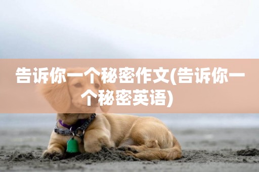 告訴你一個秘密作文(告訴你一個秘密英語) 