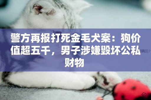 警方再報打死金毛犬案：狗價值超五千，男子涉嫌毀壞公私財物 