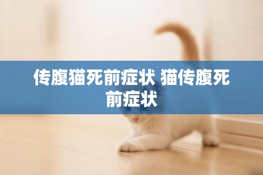 傳腹貓死前癥狀 貓傳腹死前癥狀