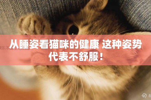 從睡姿看貓咪的健康 這種姿勢代表不舒服！