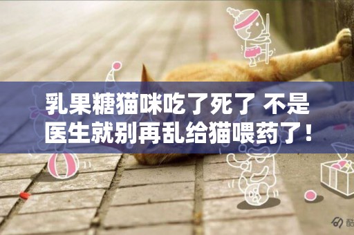 乳果糖貓咪吃了死了 不是醫生就別再亂給貓喂藥了！