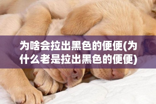 為啥會拉出黑色的便便(為什么老是拉出黑色的便便) 