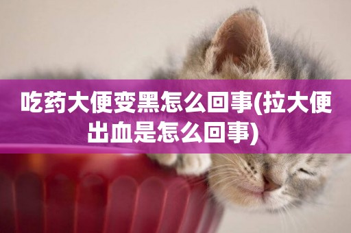 吃藥大便變黑怎么回事(拉大便出血是怎么回事) 
