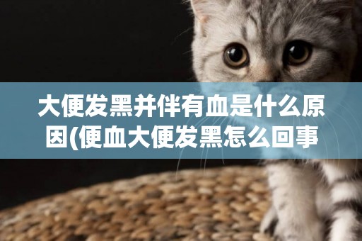 大便發黑并伴有血是什么原因(便血大便發黑怎么回事) 