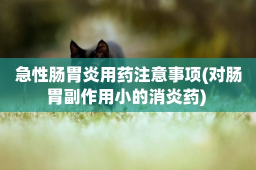 急性腸胃炎用藥注意事項(對腸胃副作用小的消炎藥) 