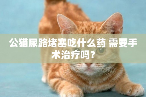 公貓尿路堵塞吃什么藥 需要手術治療嗎？