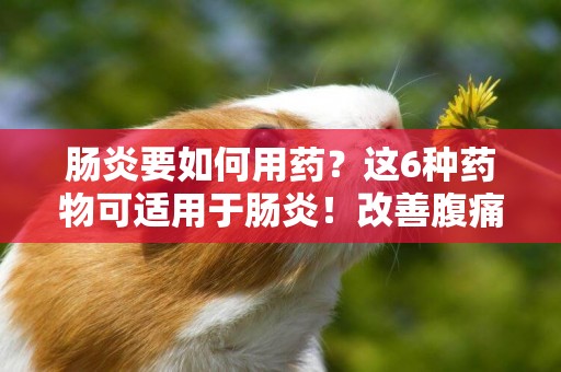 腸炎要如何用藥？這6種藥物可適用于腸炎！改善腹痛泄瀉 