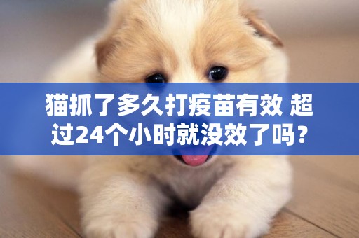 貓抓了多久打疫苗有效 超過24個小時就沒效了嗎？
