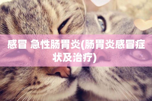 感冒 急性腸胃炎(腸胃炎感冒癥狀及治療) 