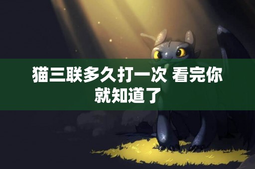 貓三聯多久打一次 看完你就知道了