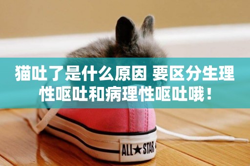 貓吐了是什么原因 要區分生理性嘔吐和病理性嘔吐哦！