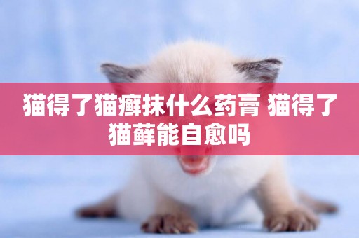 貓得了貓癬抹什么藥膏 貓得了貓蘚能自愈嗎