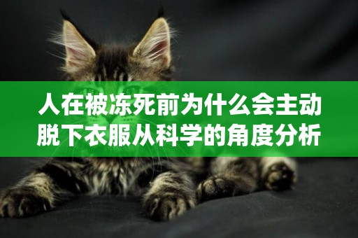 人在被凍死前為什么會主動脫下衣服從科學的角度分析(人在零下多少度會凍死) 