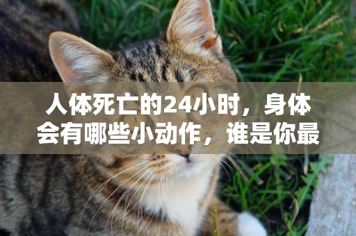 人體死亡的24小時，身體會有哪些小動作，誰是你最后的救命稻草？ 