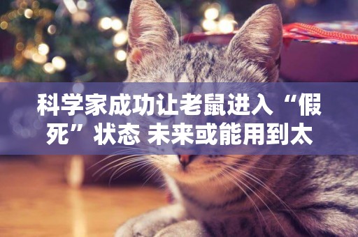 科學家成功讓老鼠進入“假死”狀態 未來或能用到太空旅行 