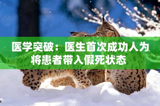 醫學突破：醫生首次成功人為將患者帶入假死狀態 