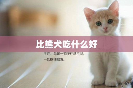 比熊犬吃什么好