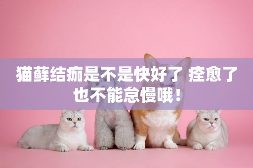 貓蘚結痂是不是快好了 痊愈了也不能怠慢哦！